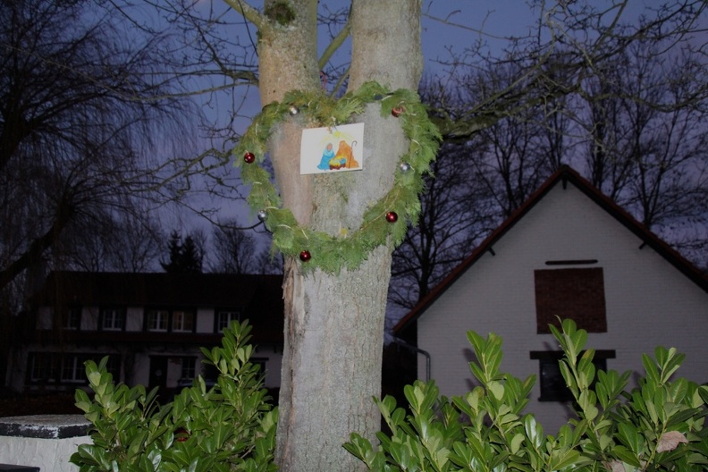 174 000 IMG_4533.jpg