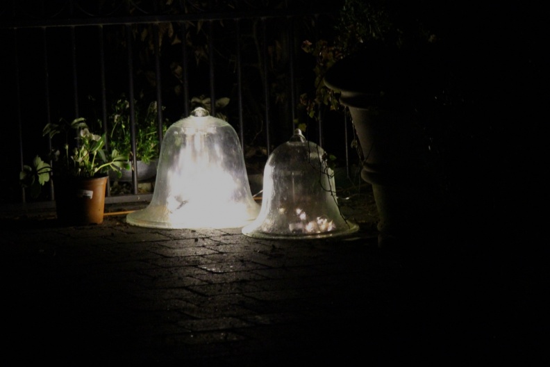 381 000 IMG_4621.jpg