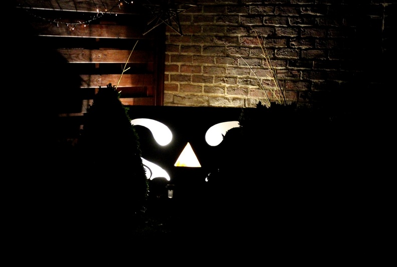 385 000 IMG_4623.jpg