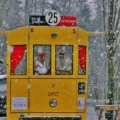 Place du Tram communautaire